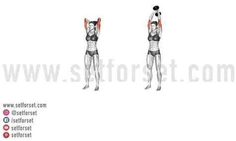 The Best Tricep Workouts For Women - SET FOR SET