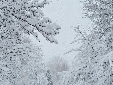 Winter Storm Warning, Snow Emergency issued for 2 Northeast Ohio Counties