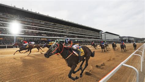 tips  placing  bet  flat racing smartbettingguidecom