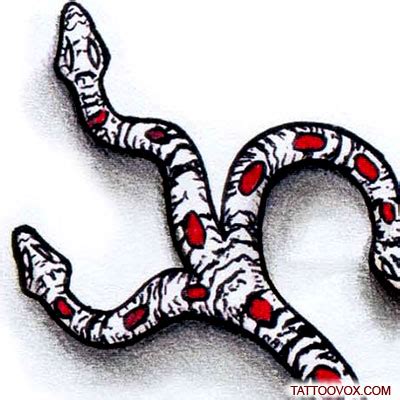 Three Headed Snake tattoo design - TattooVox Professional Tattoo ...