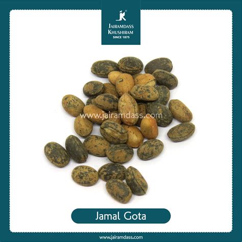 Purgative Croton | Croton Tiglium | Herbs | Jairamdass Khushiram