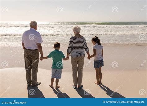 Family Holding Hands and Standing on Beach Stock Photo - Image of ...