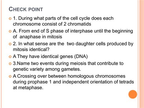 A comparison of mitosis and meiosis - Copy (6).pptx