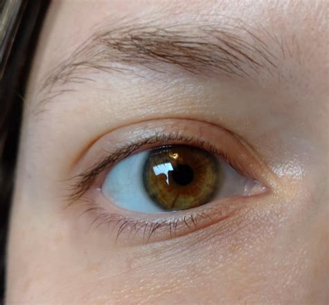 The Eyes Are Not Here 2