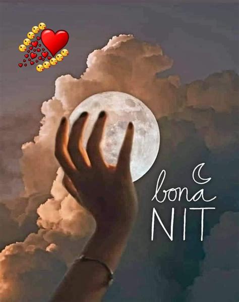 Bona Nit Artofit