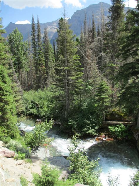 Glacier National Park (Glacier County, Montana) | Glacier Na… | Flickr