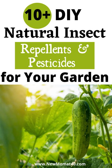 The Best Natural Garden Pest Control Recipes New Mom At 40