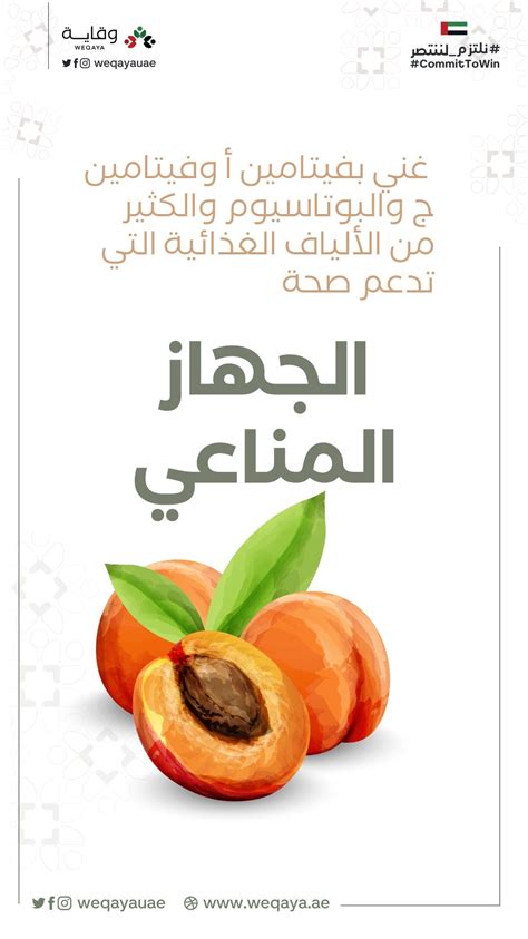 تعرف على فوائد المشمش الصحية Fruit Benefits Food Info Food