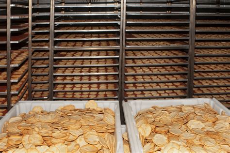 La guía definitiva para hornos industriales de galletas Sinofude