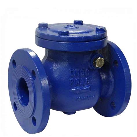 Crane Fm Cast Iron Dn Pn Flanged Swing Check Valve Degc