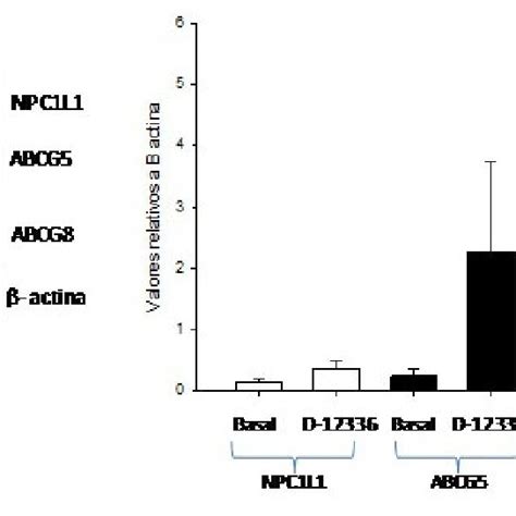 Niveles De Expresión De Las Proteínas Npc1l1 Abcg5 Y Abcg8 En Células Download Scientific