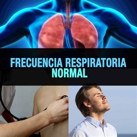 Frecuencia Respiratoria Normal Qué Es Y Cómo Se Mide La Guía De Las Vitaminas