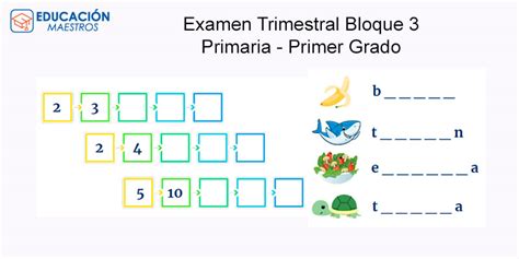 Examen Trimestral Bloque 3 Primer Grado 2024 2025