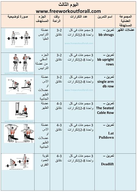 افضل جدول تمارين كمال اجسام