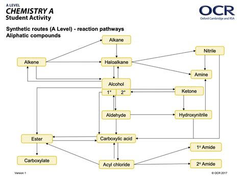 Diagram Of Synthetic Routes Diagram Quizlet