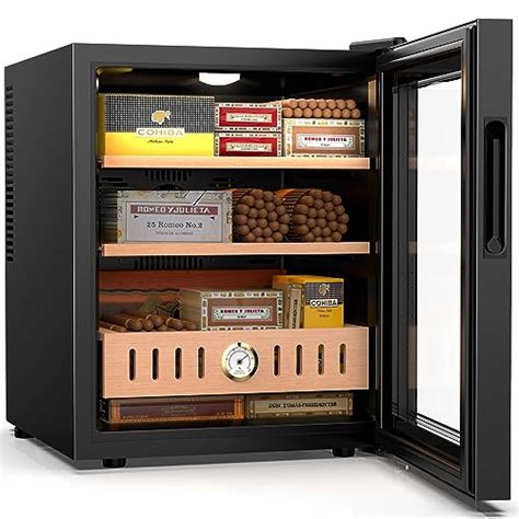 Find The Best 300 Cigar Humidors Reviews Comparison Glory Cycles