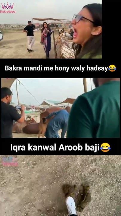 Aroob Jatoi Ducky Bhai Iqra Kanwal Areeb In Bakra Mandi Vlog Me Howy