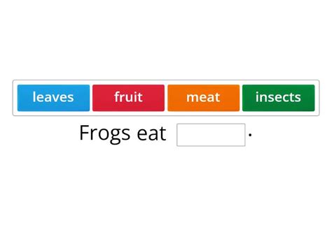 What Do Animals Eat Complete The Sentence