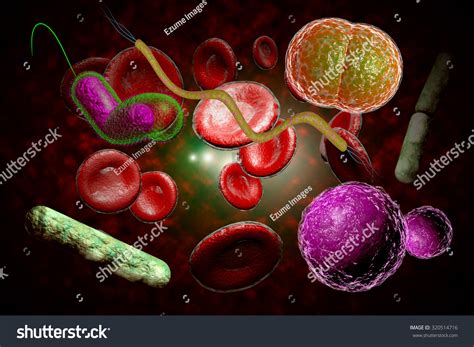 3d Microscope Close Many Bacteria Floating 스톡 일러스트 320514716 Shutterstock