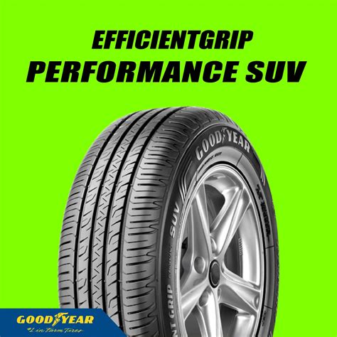 R Goodyear Efficientgrip Performance Suv