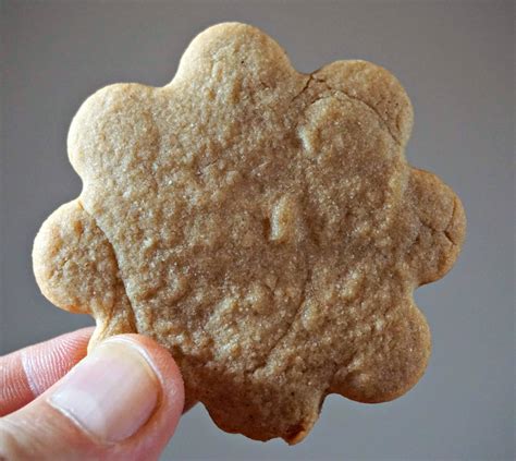 Speculoos Cookies 5 Min Belgian Foodie