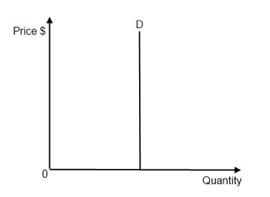 Perfectly Inelastic Demand Curve