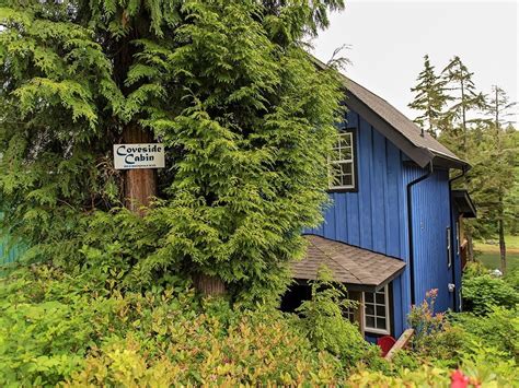 Ucluelet Cabins: Your Perfect Stay in Vancouver Island | Travel For Wildlife