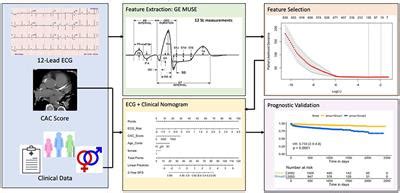 Frontiers Machine Learning Derived ECG Risk Score Improves