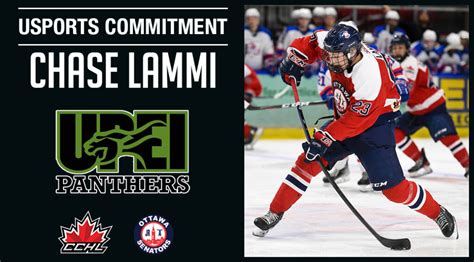 Commitment Alert Junior Senators Chase Lammi Commits To University Of