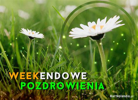 Dobrego Poniedzia Ku Darmowe Kartki Elektroniczne