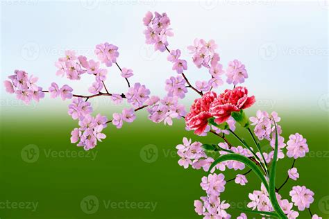 Spring flowering garden. 9850041 Stock Photo at Vecteezy