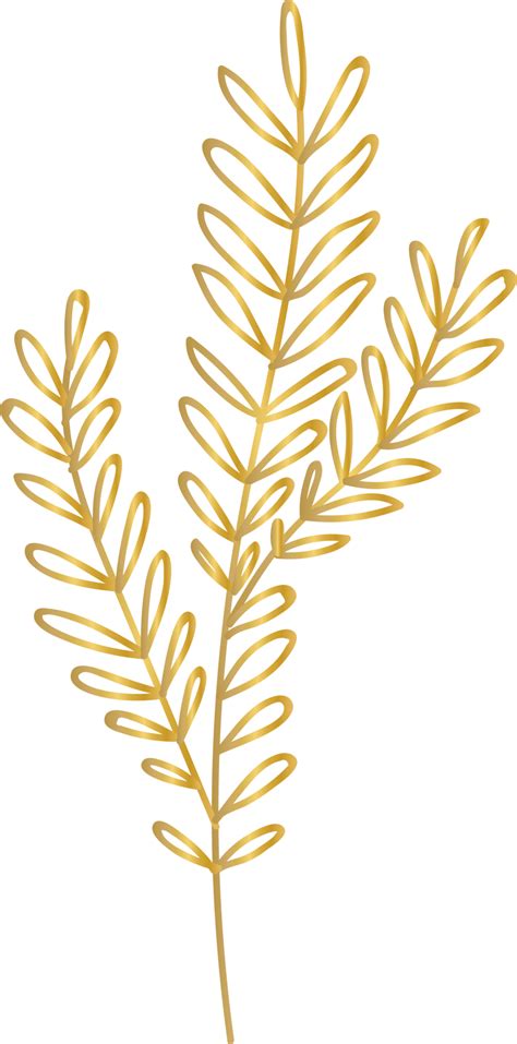 Golden Flower Leaf 11674991 Png