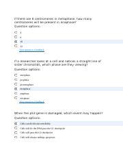 Chapter Wk Study Questions Docx If There Are Centromeres In