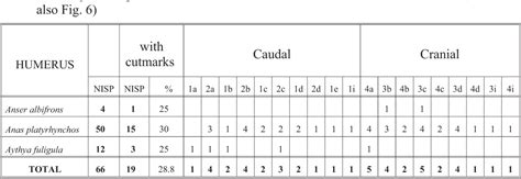 Table V From Exploitation Of Anseriformes At Two Upper Palaeolithic