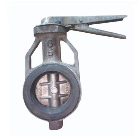 Ci Body Ss Disk Butterfly Valve At Rs Cast Iron Butterfly