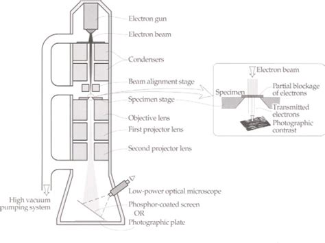 Schematic Representation Of Transmission Electron Microscope Circuit Diagram