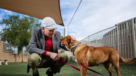 The myth of the alpha dog | ASU News