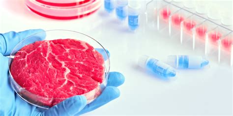 Carne Coltivata In Italia Il Divieto Diventa Legge MixerPlanet