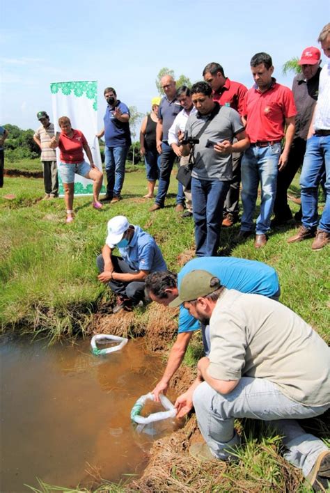 Programa Fauna Ctica De La Eby Entreg M S De Mil Alevines En