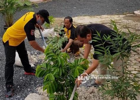 Tanam Pohon Ulin PWI Kalsel Dukung Revolusi Hijau WARTANIAGA