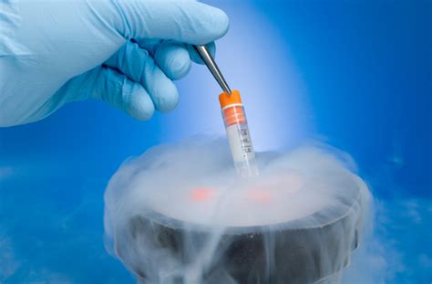 Everything You Wanted To Know About Cryogenic Freezing