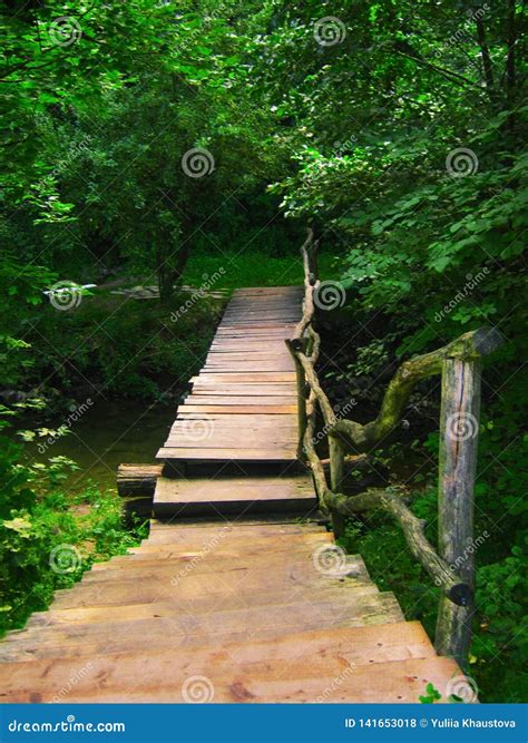 Wooden Bridge Over A Stream In A Green Forest Stock Photo Image Of