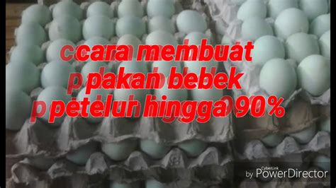 Cara Membuat Pakan Bebek Petelur Hingga 90 YouTube