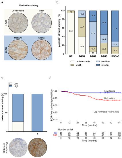 IJMS Free Full Text Potential Of The Stromal Matricellular Protein