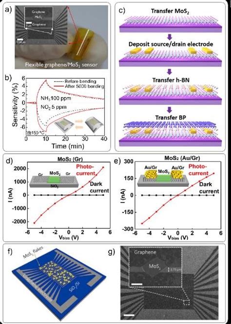 Novel Sensing Paradigms A Optical Image Of A Graphenemos2