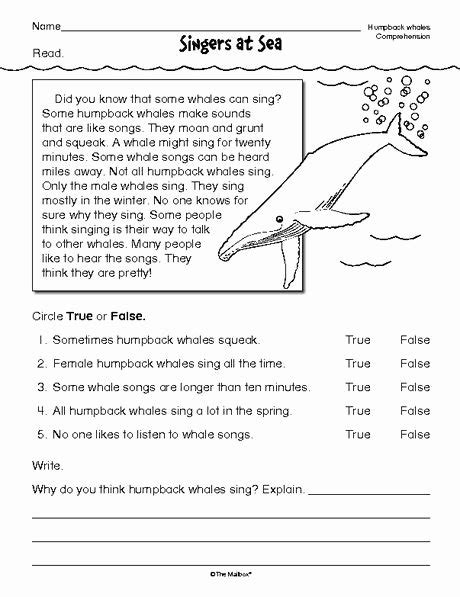 50 Text Features Worksheet 3rd Grade