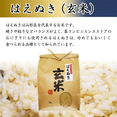 【楽天市場】【ふるさと納税】【先行予約】はえぬき 玄米 10kg（5kg×2袋）2025年産 令和7年産【2025年10月頃から12月頃に順次