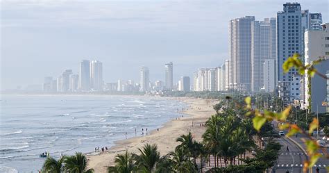 beach bay shore royalty  stock illustration image pixabay