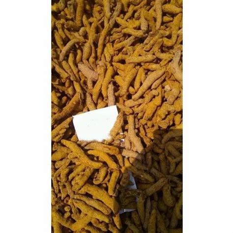 Years Dried Turmeric Finger Packaging Size Kg Curcuma Longa At