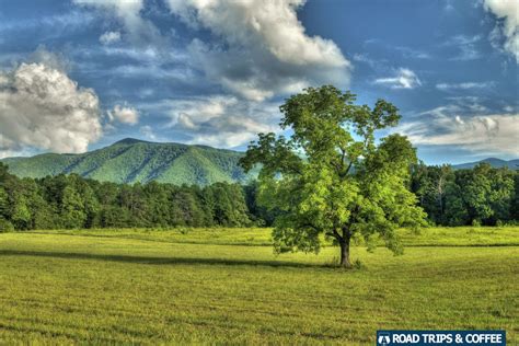 Great Smoky Mountains Blue Ridge Mountains Cades Cove North Carolina